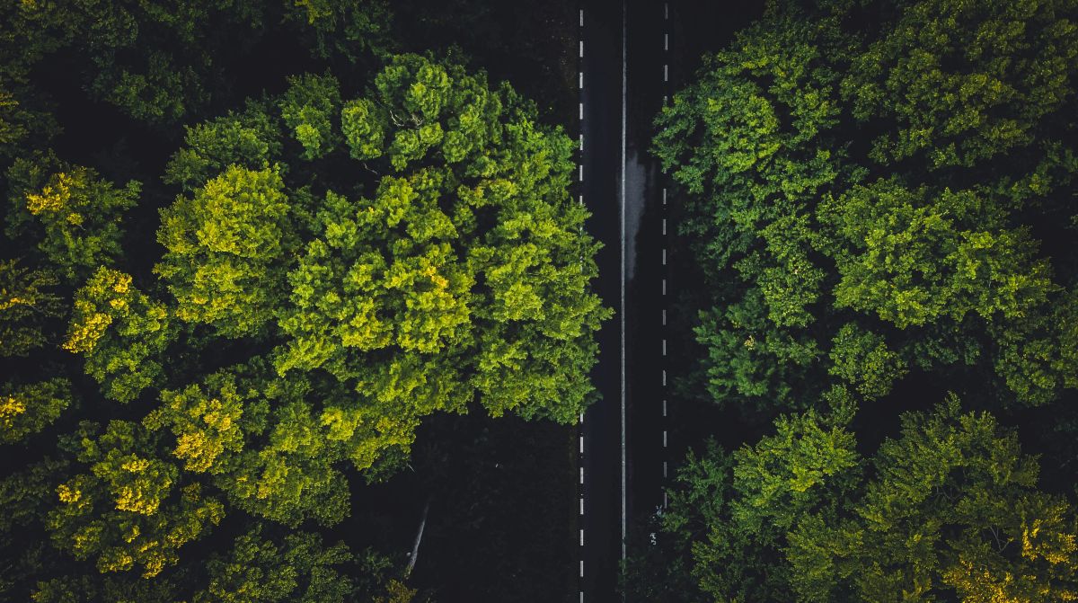Green practices still cut cost and complexity, making sustainability a smart move regardless of policy shifts.